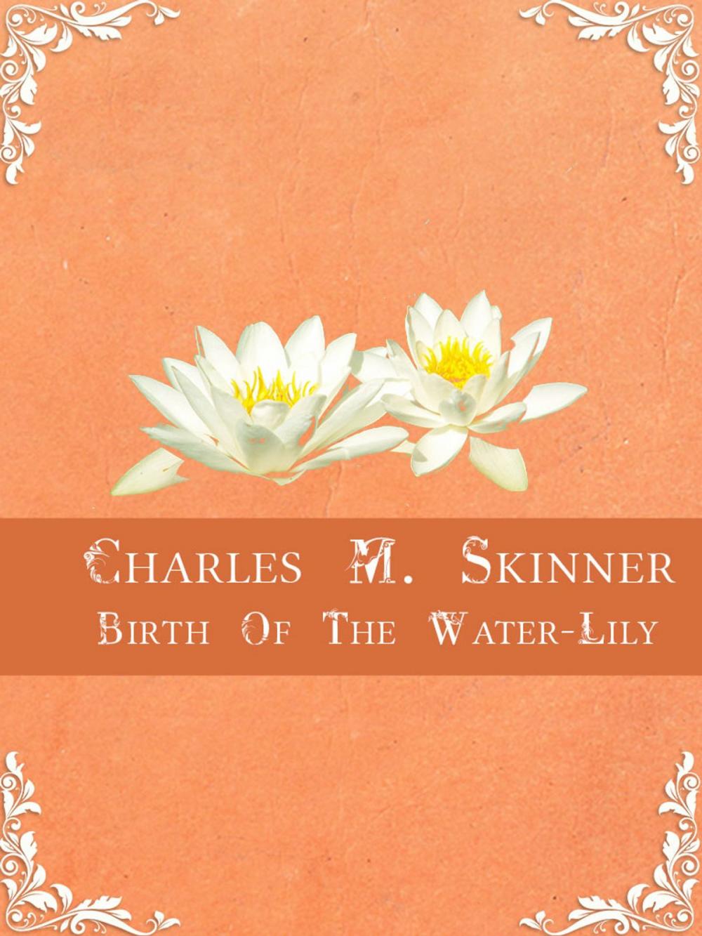 Big bigCover of Birth Of The Water-Lily