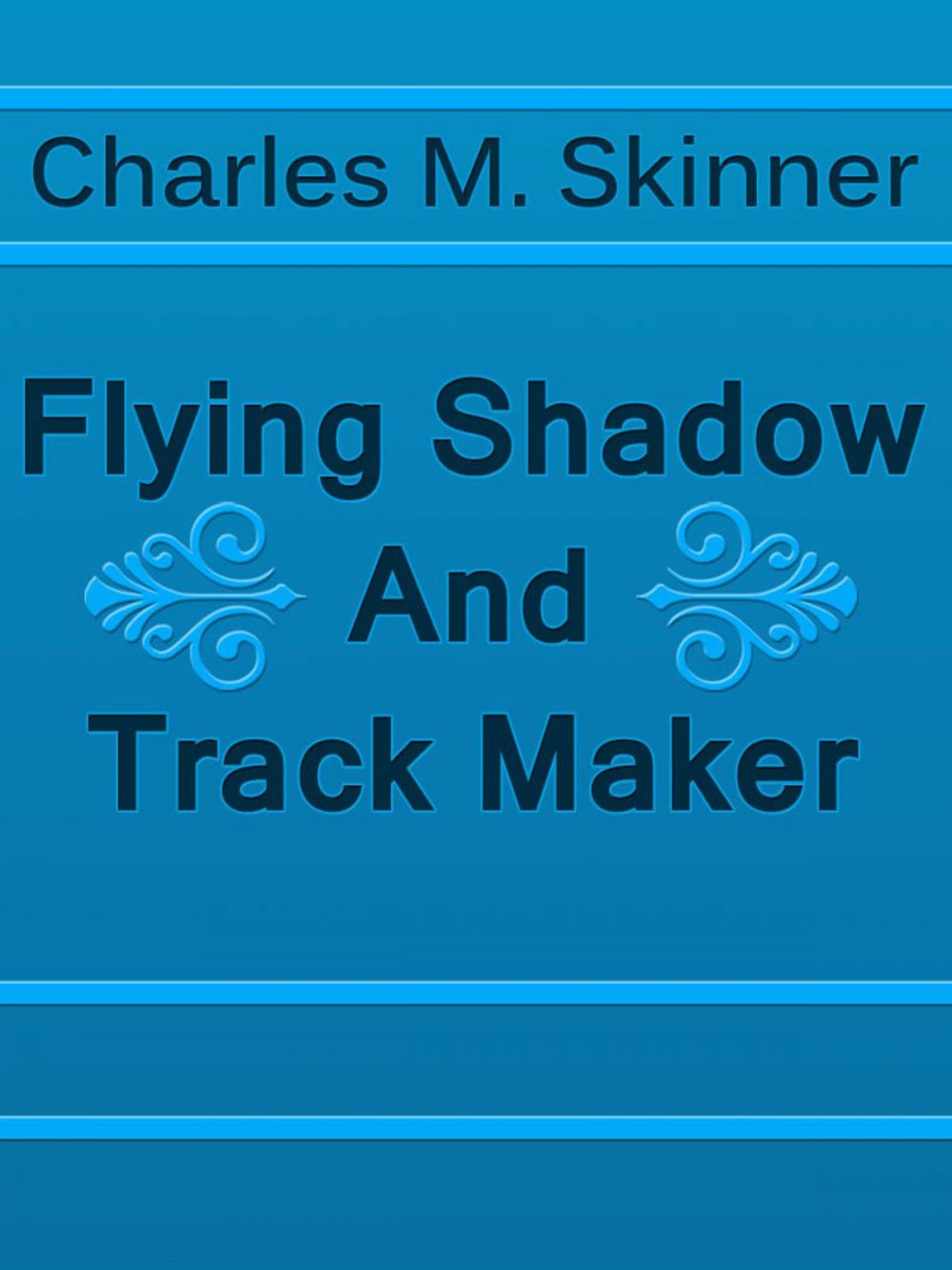 Big bigCover of Flying Shadow And Track Maker