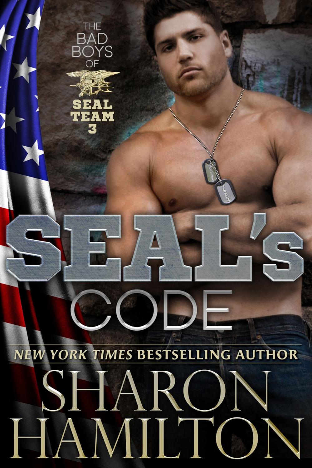 Big bigCover of SEAL's Code