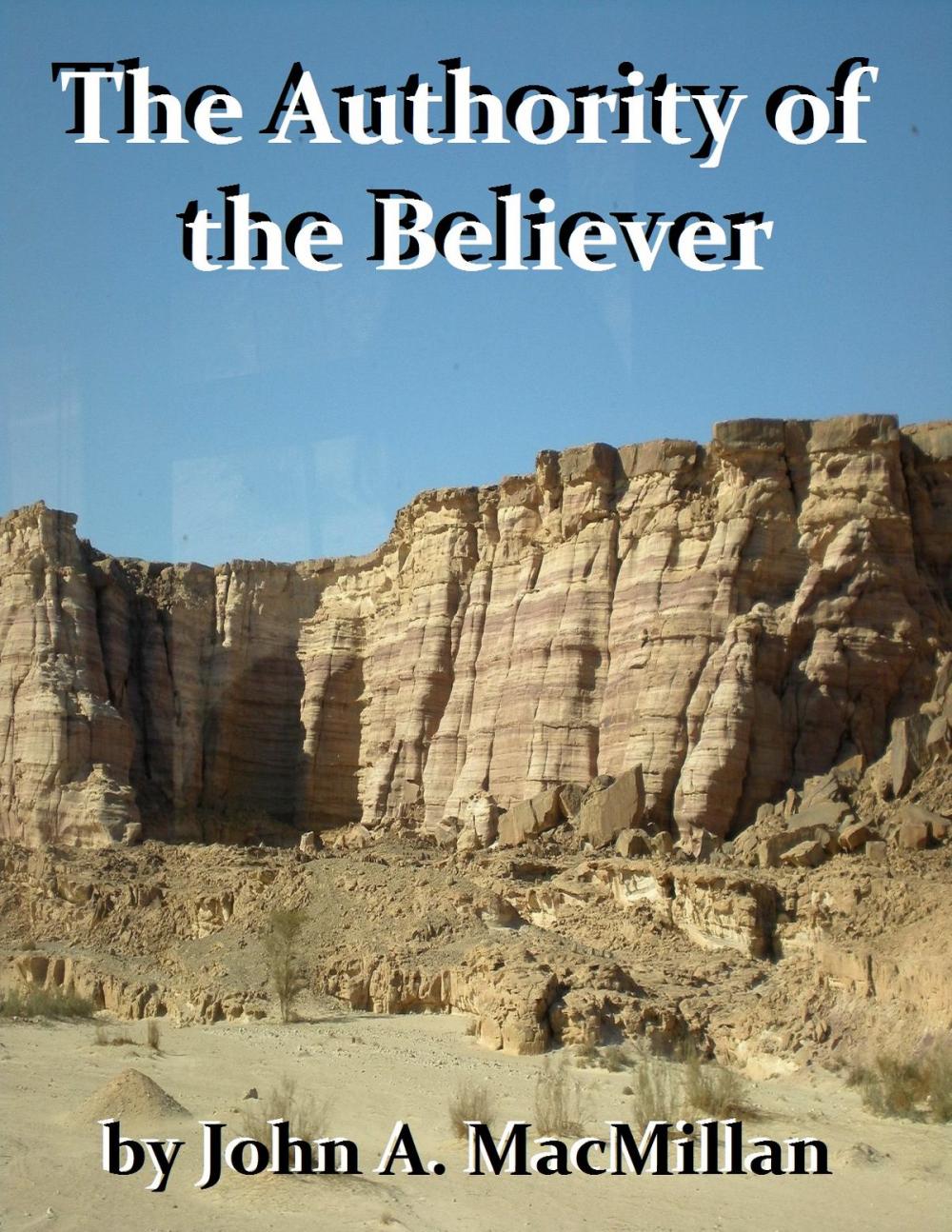 Big bigCover of The Authority of the Believer