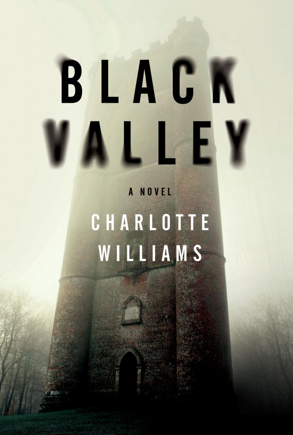 Big bigCover of Black Valley