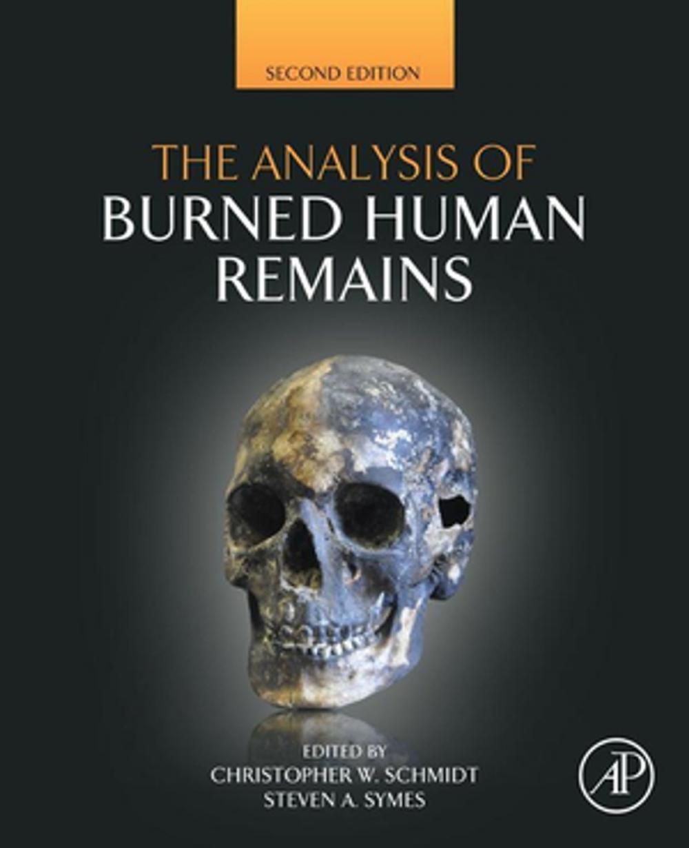 Big bigCover of The Analysis of Burned Human Remains