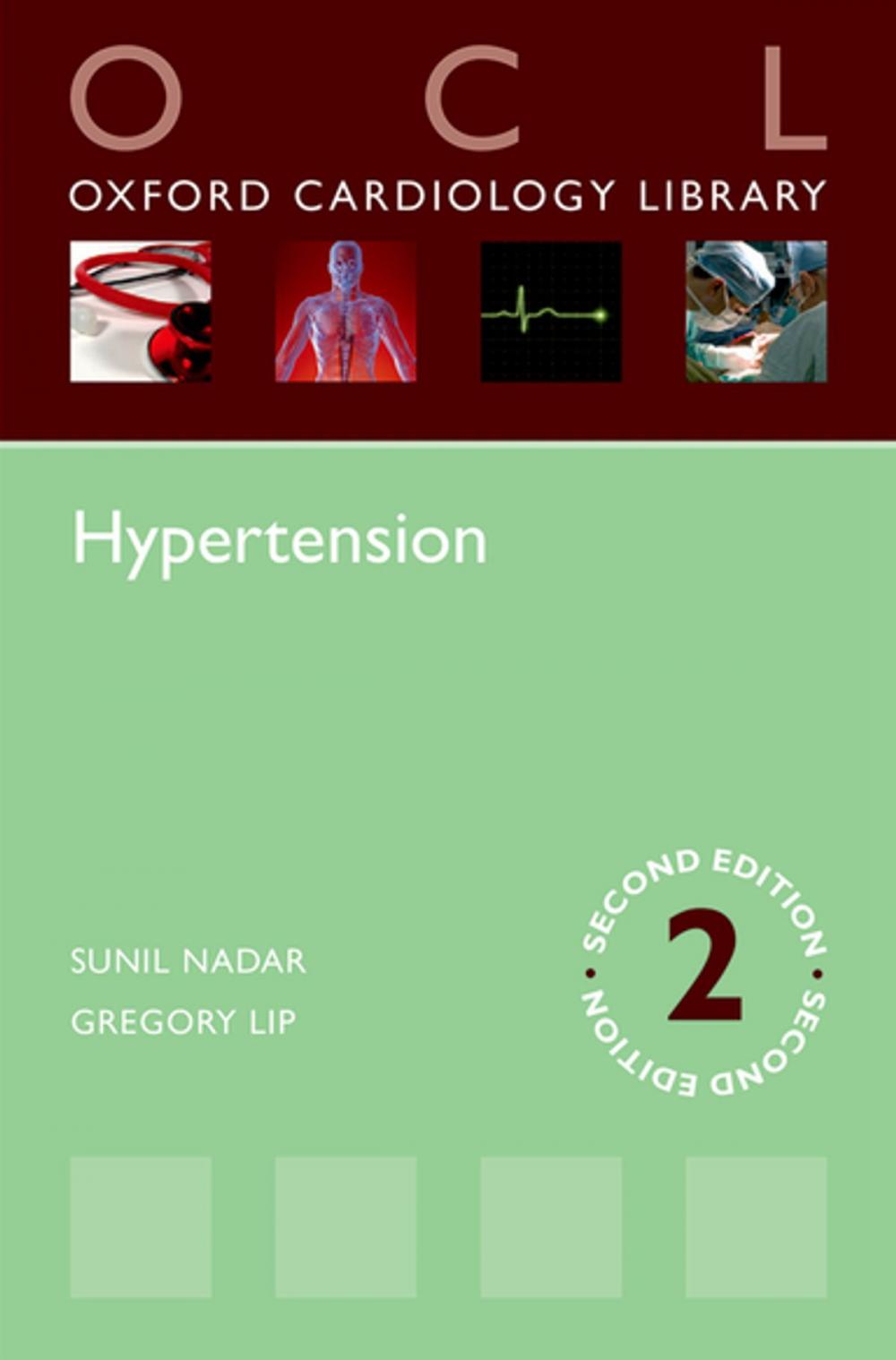 Big bigCover of Hypertension