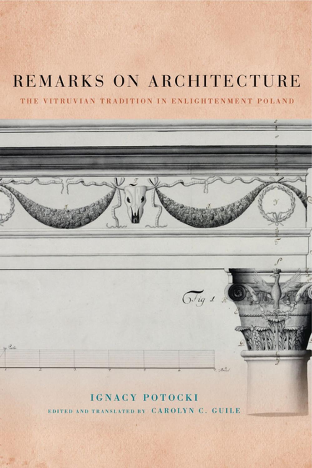 Big bigCover of Remarks on Architecture