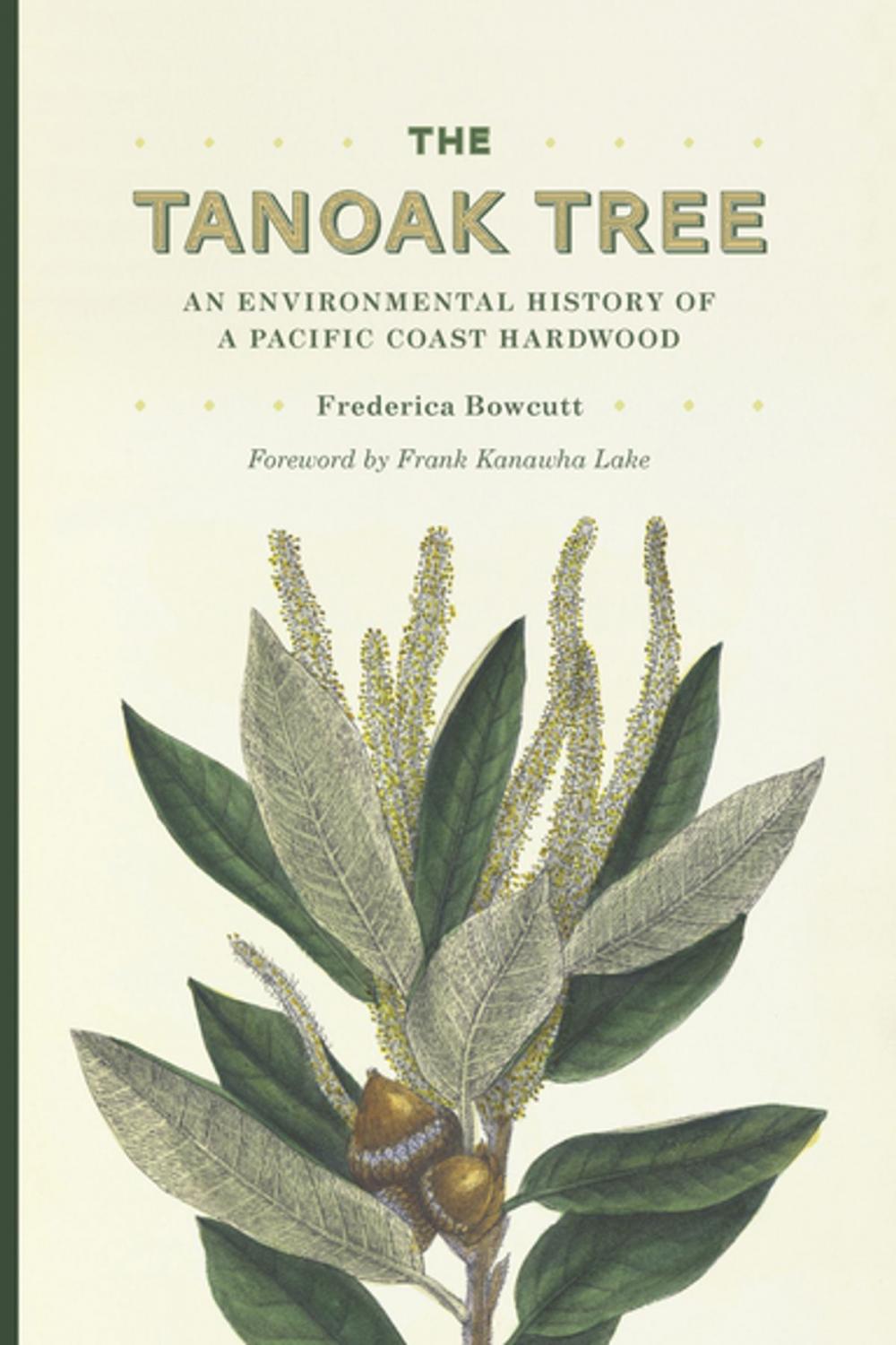 Big bigCover of The Tanoak Tree