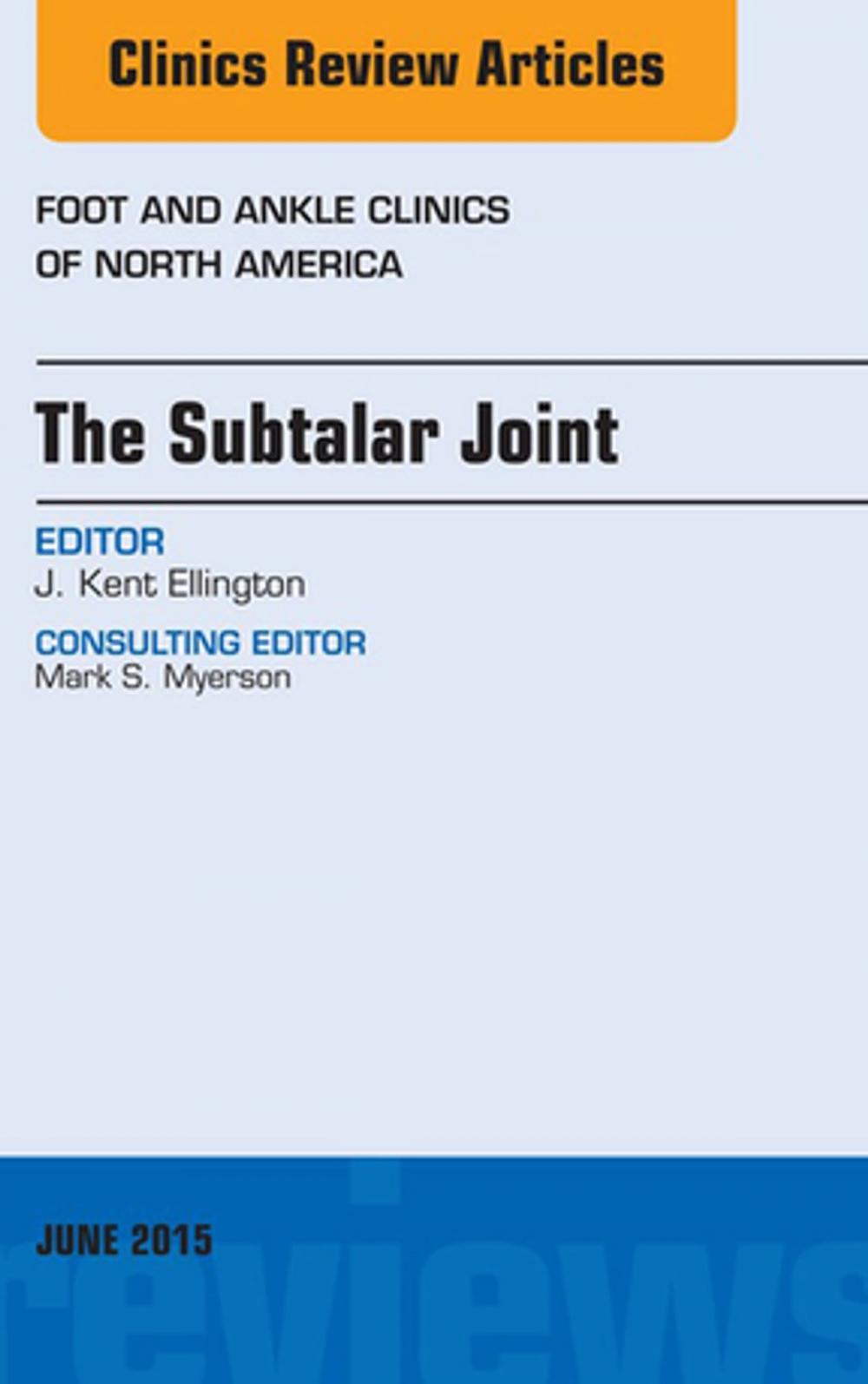 Big bigCover of The Subtalar Joint, An issue of Foot and Ankle Clinics of North America, E-Book