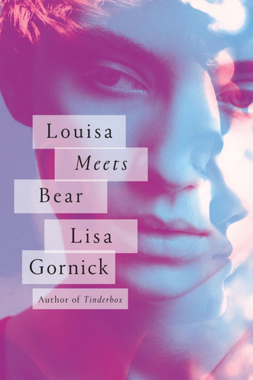 Big bigCover of Louisa Meets Bear