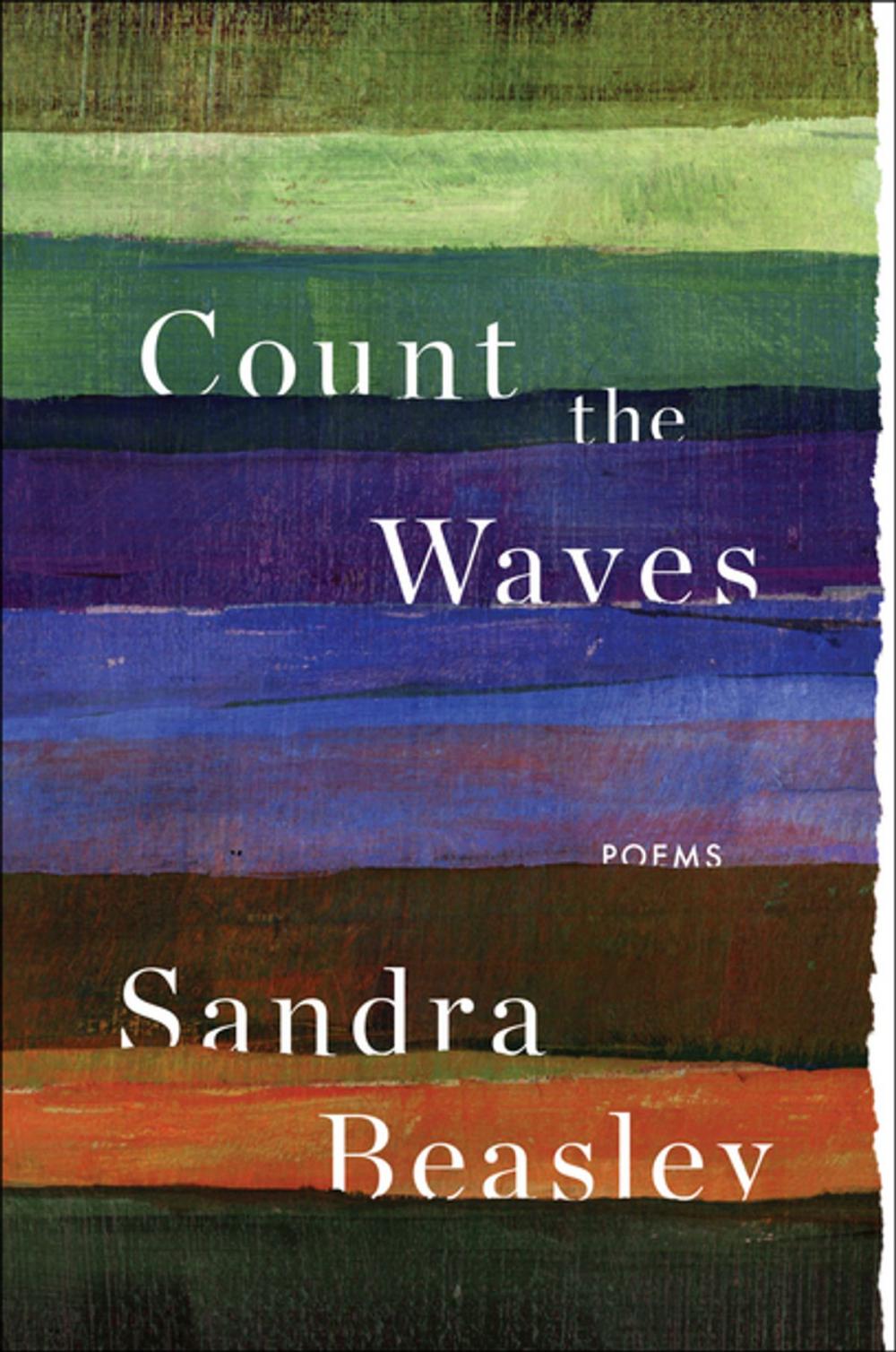 Big bigCover of Count the Waves: Poems