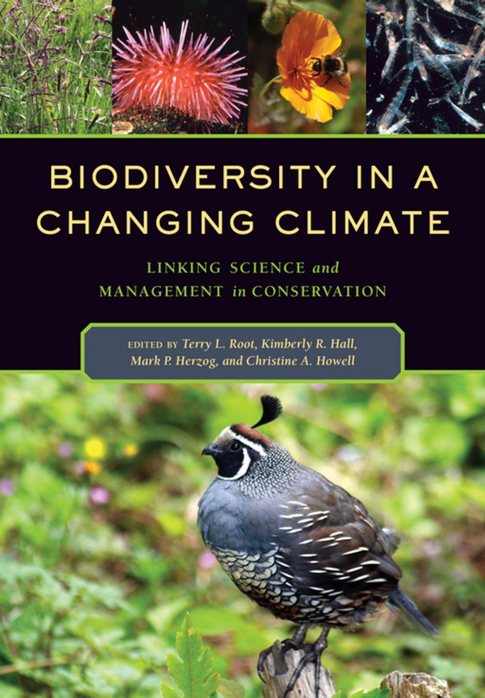 Big bigCover of Biodiversity in a Changing Climate