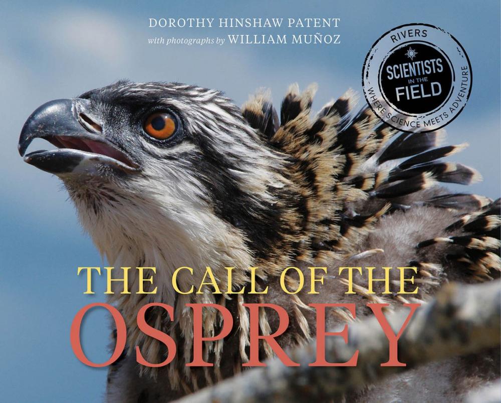 Big bigCover of The Call of the Osprey