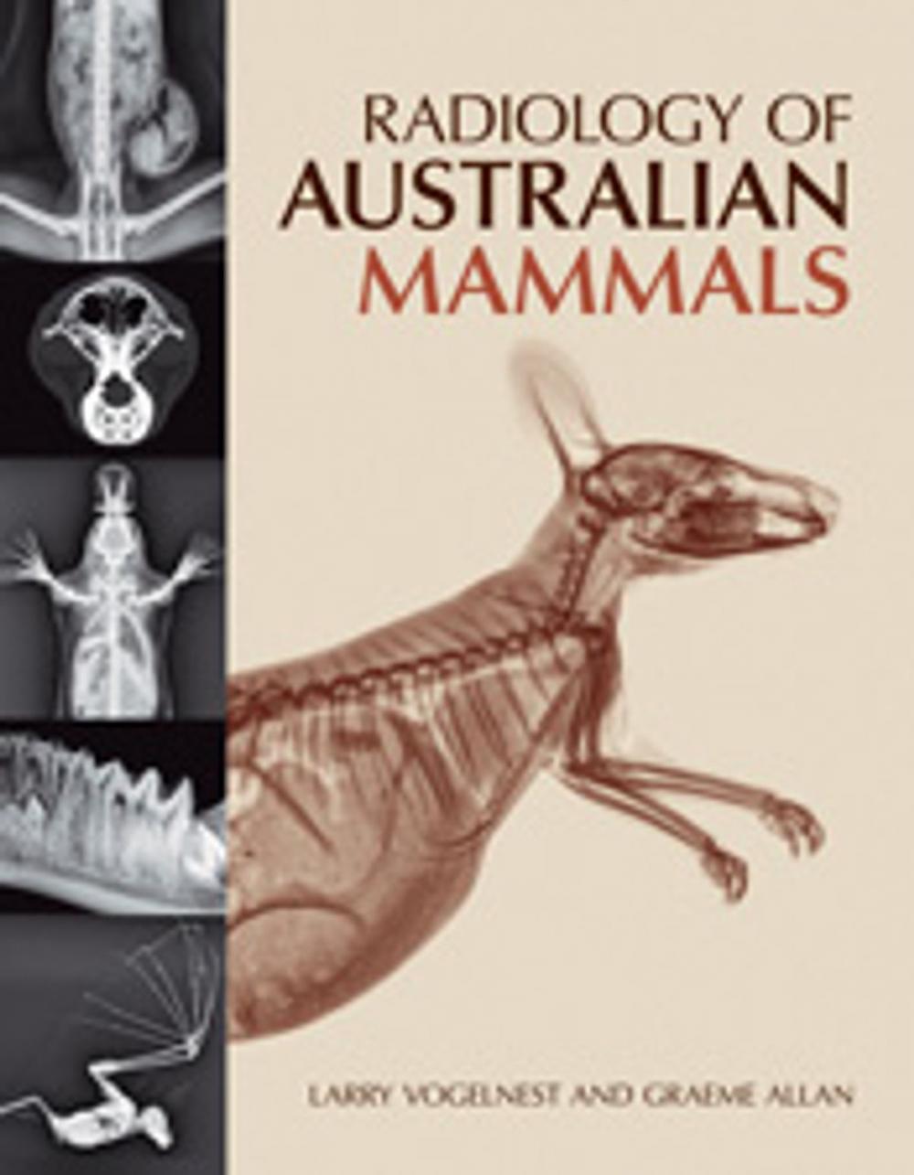 Big bigCover of Radiology of Australian Mammals