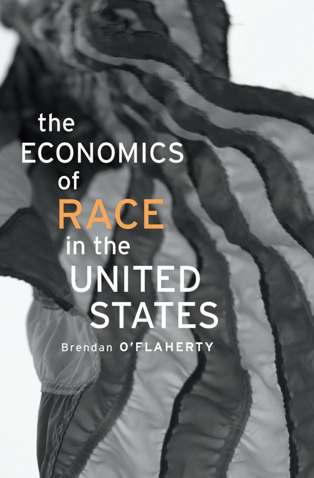 Big bigCover of The Economics of Race in the United States