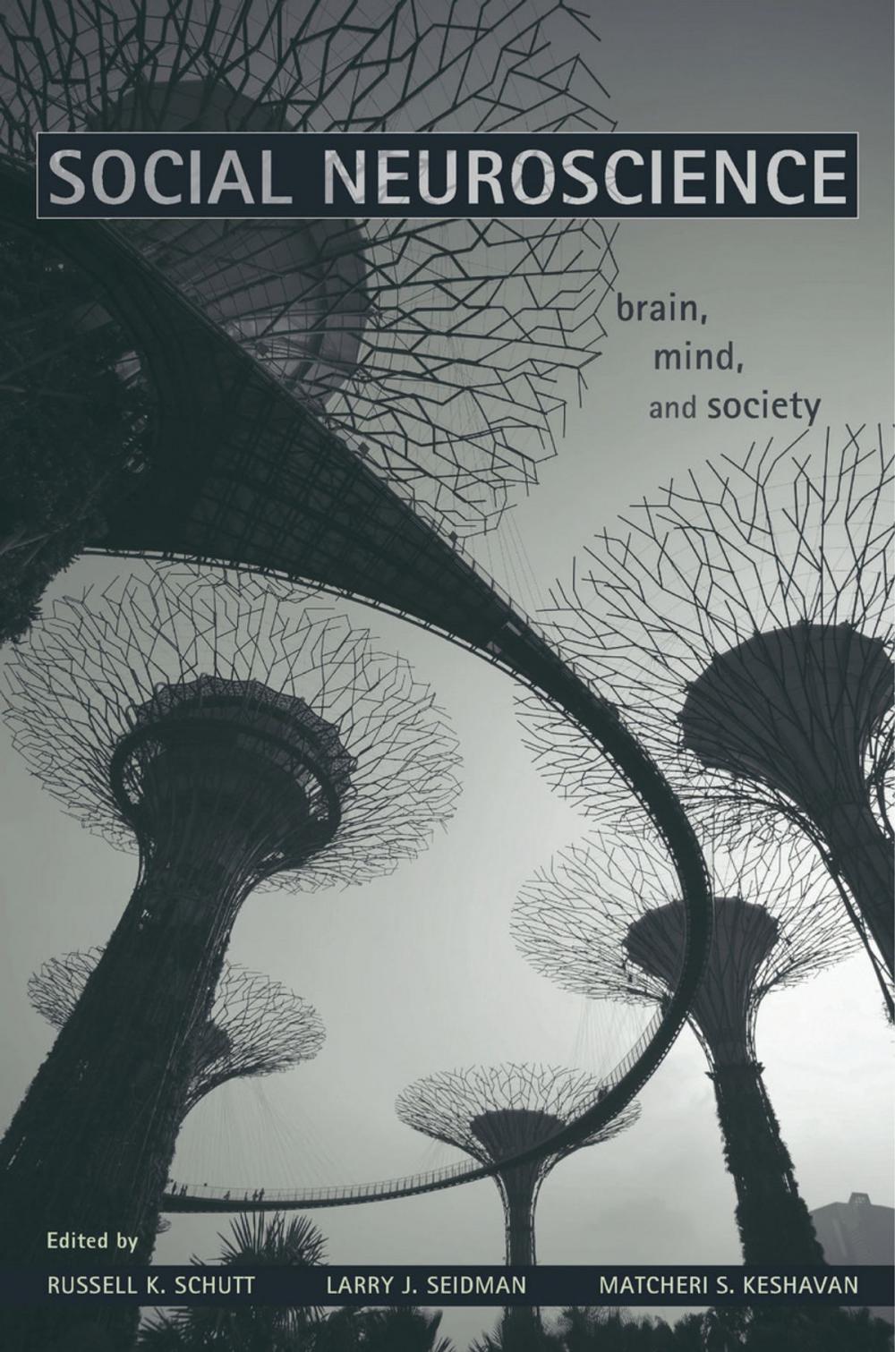 Big bigCover of Social Neuroscience