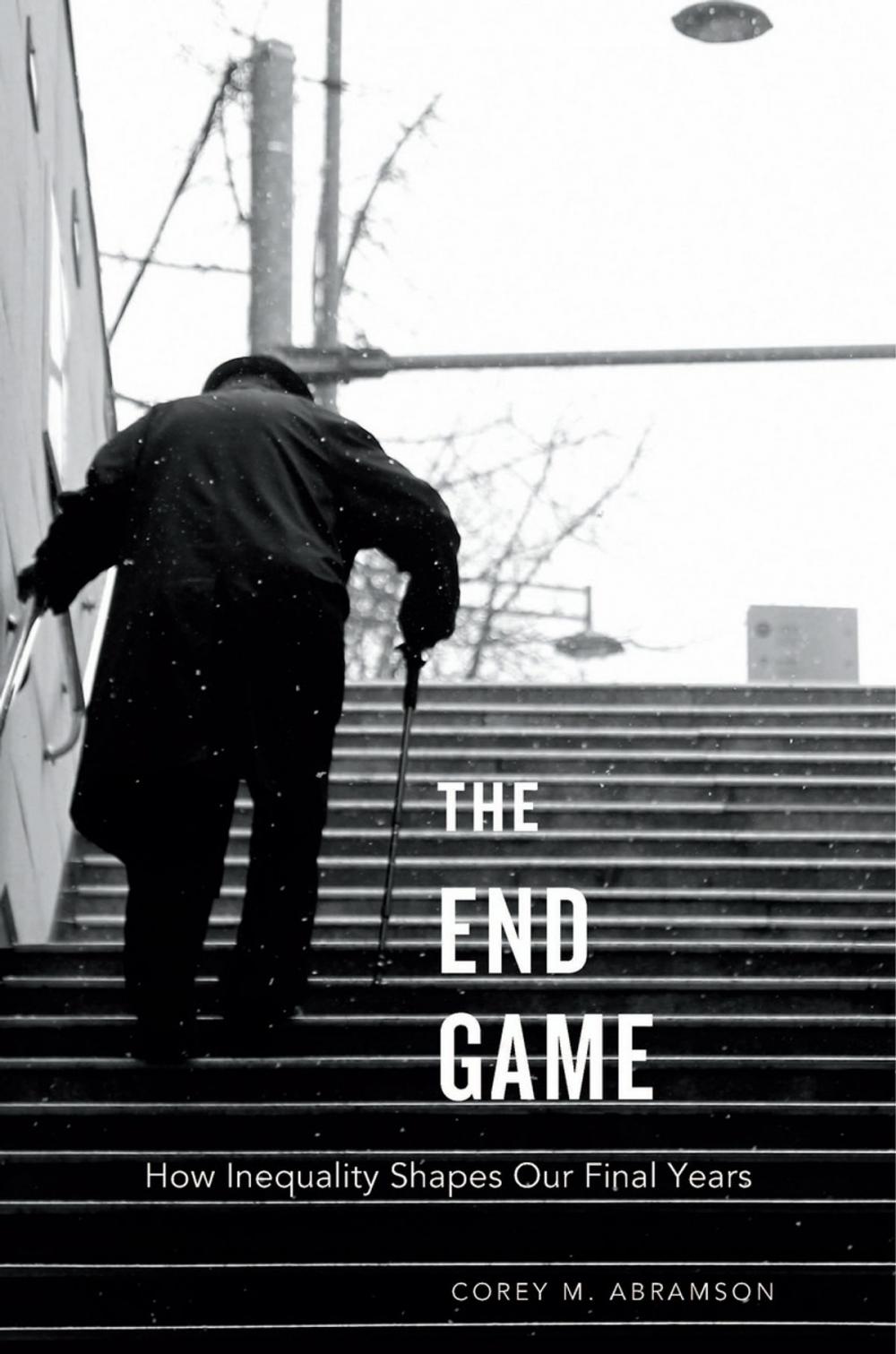 Big bigCover of The End Game