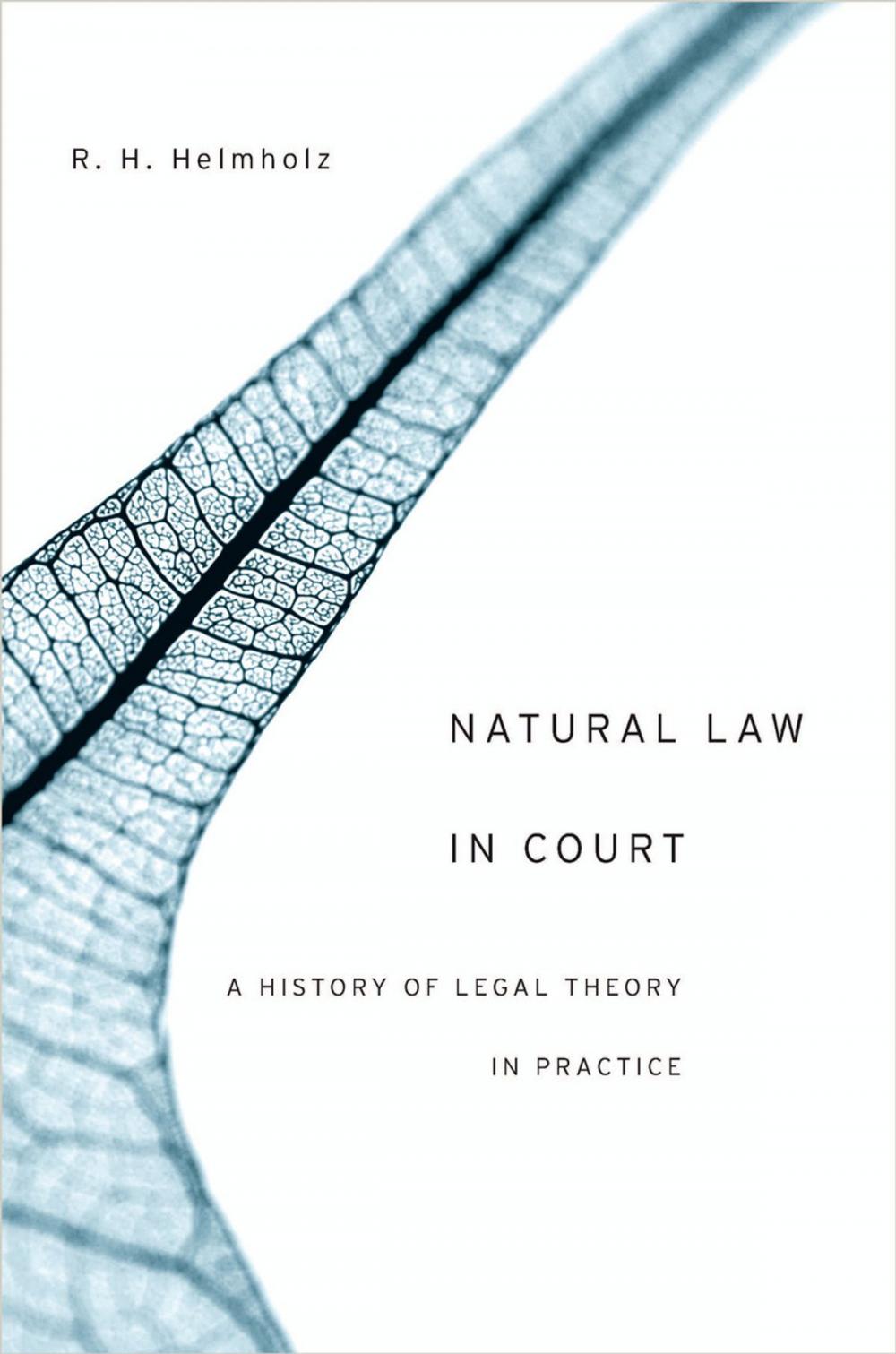 Big bigCover of Natural Law in Court