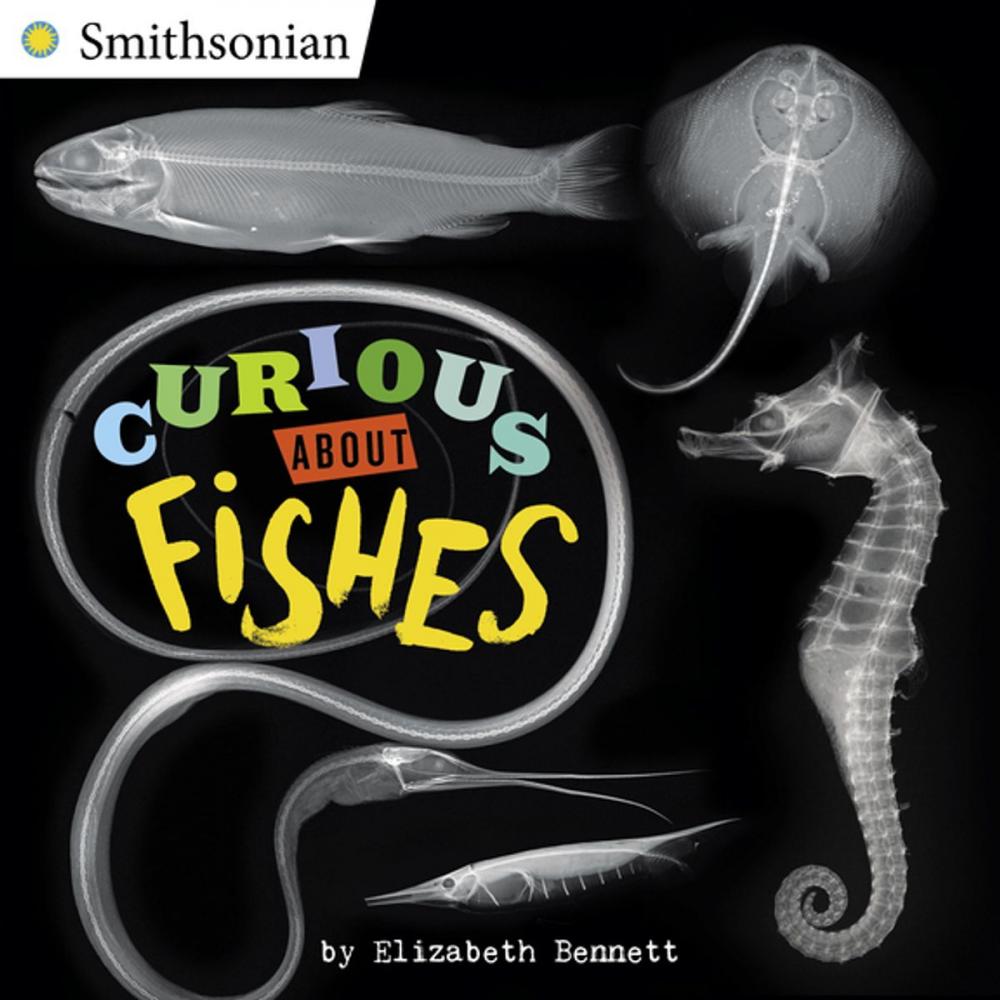 Big bigCover of Curious About Fishes