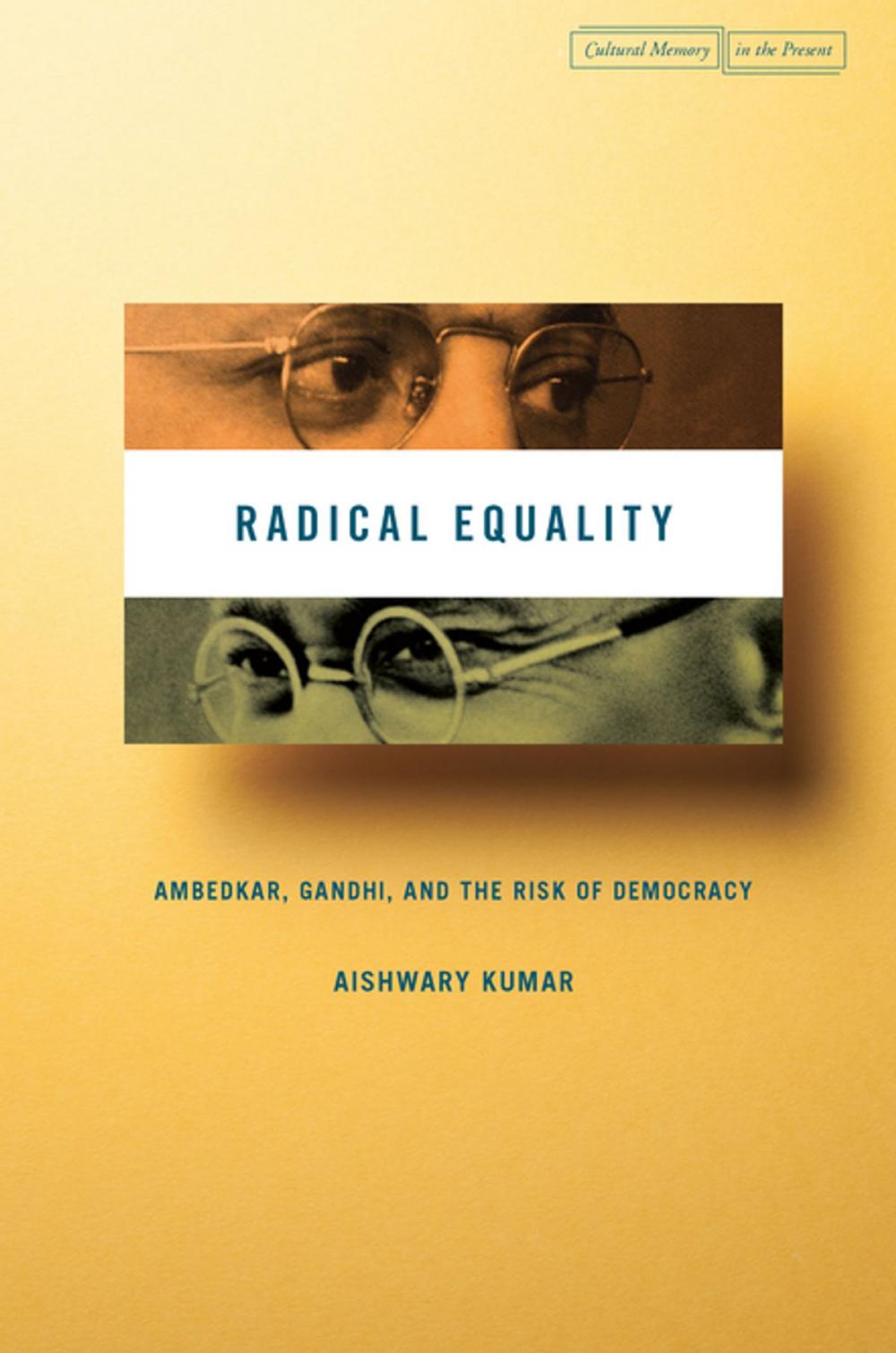 Big bigCover of Radical Equality