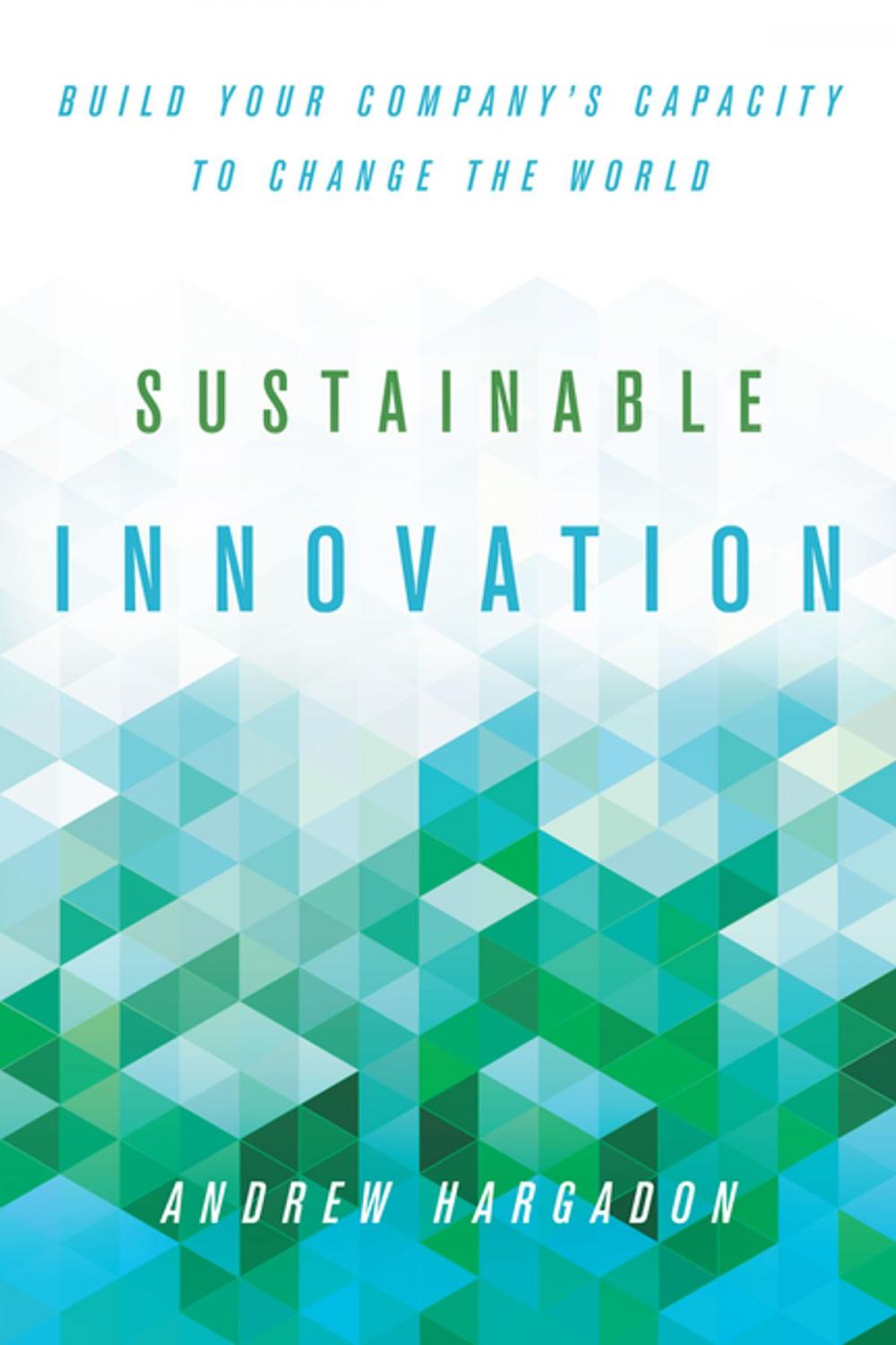 Big bigCover of Sustainable Innovation