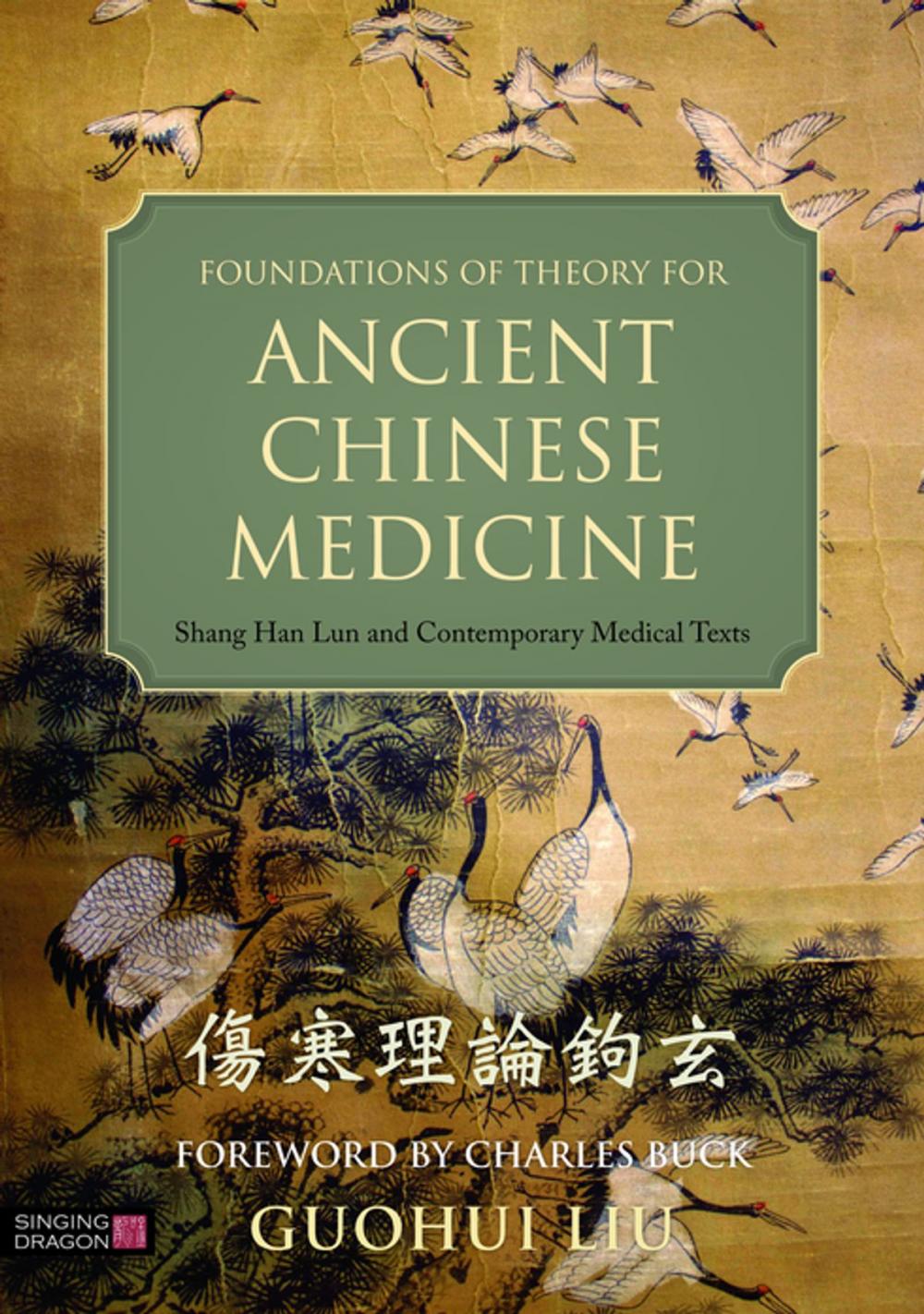 Big bigCover of Foundations of Theory for Ancient Chinese Medicine