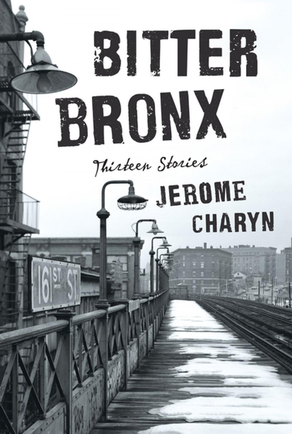 Big bigCover of Bitter Bronx: Thirteen Stories