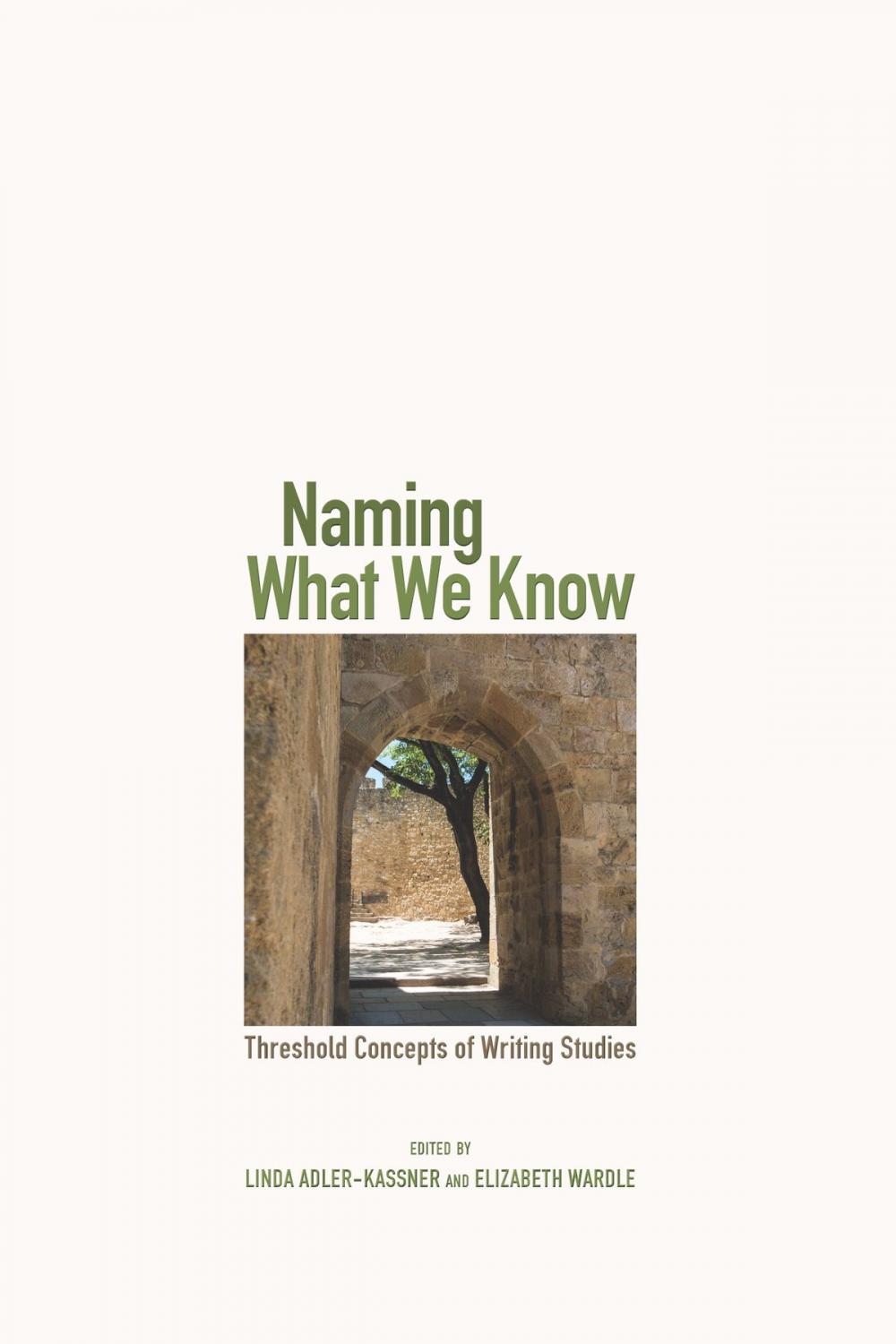 Big bigCover of Naming What We Know