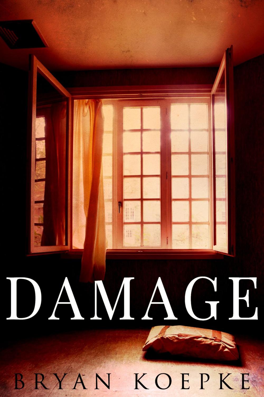 Big bigCover of Damage