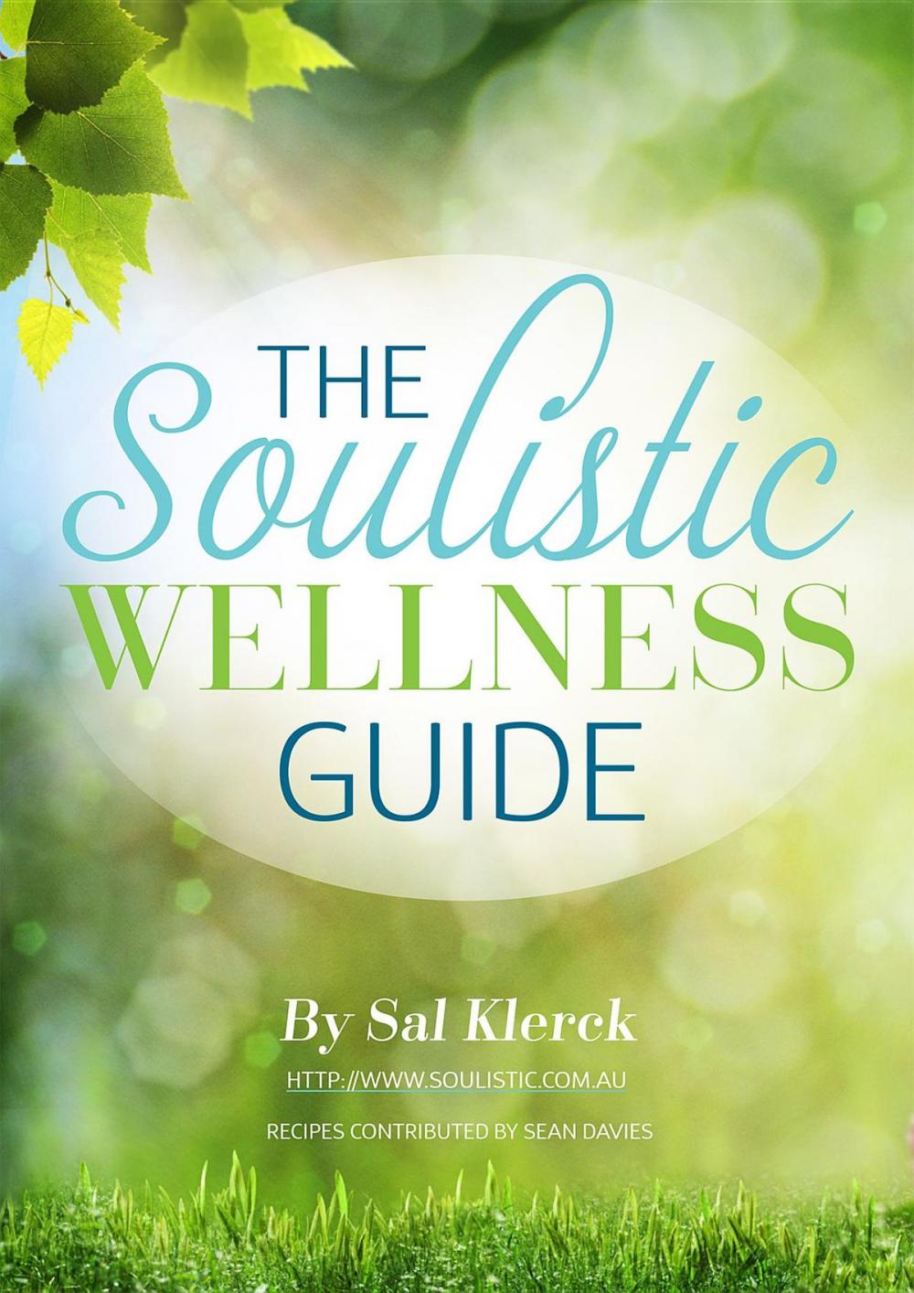 Big bigCover of The Soulistic Wellness Guide