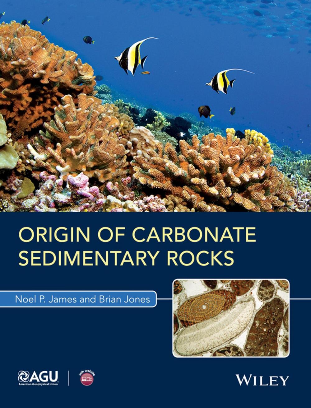 Big bigCover of Origin of Carbonate Sedimentary Rocks