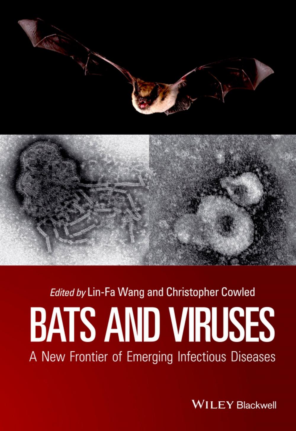 Big bigCover of Bats and Viruses