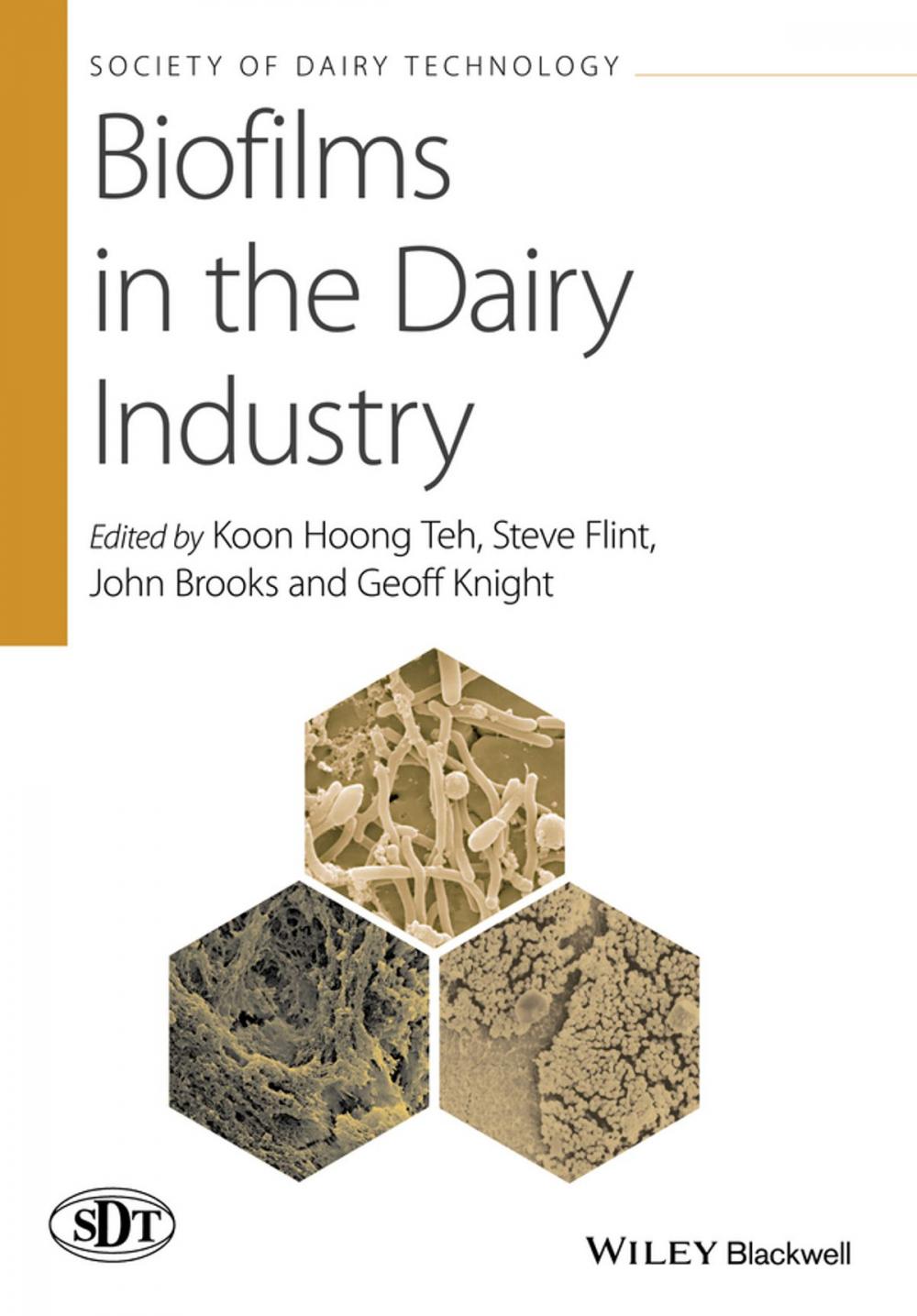 Big bigCover of Biofilms in the Dairy Industry