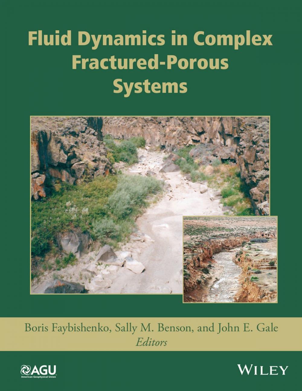 Big bigCover of Fluid Dynamics in Complex Fractured-Porous Systems