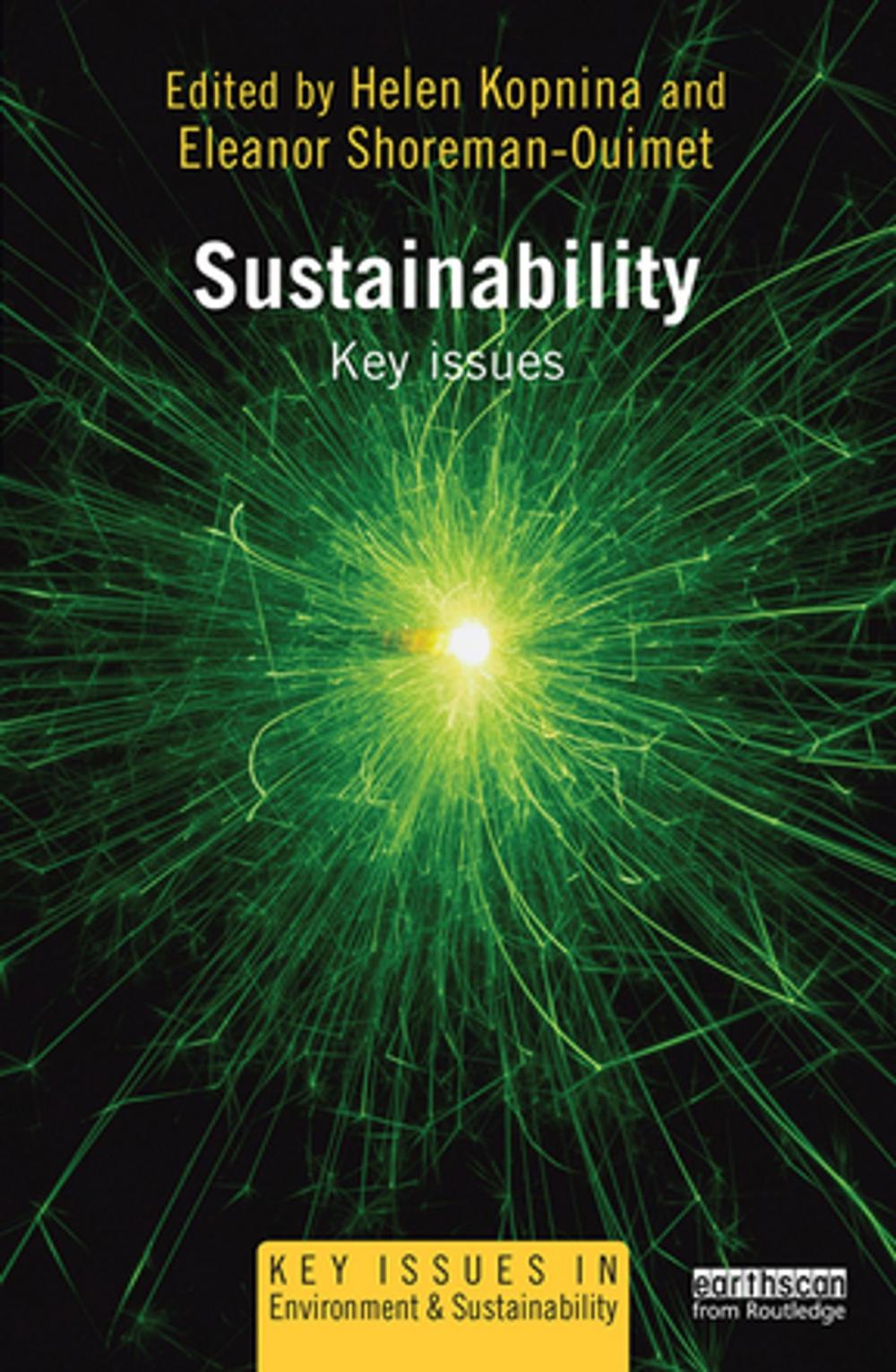 Big bigCover of Sustainability