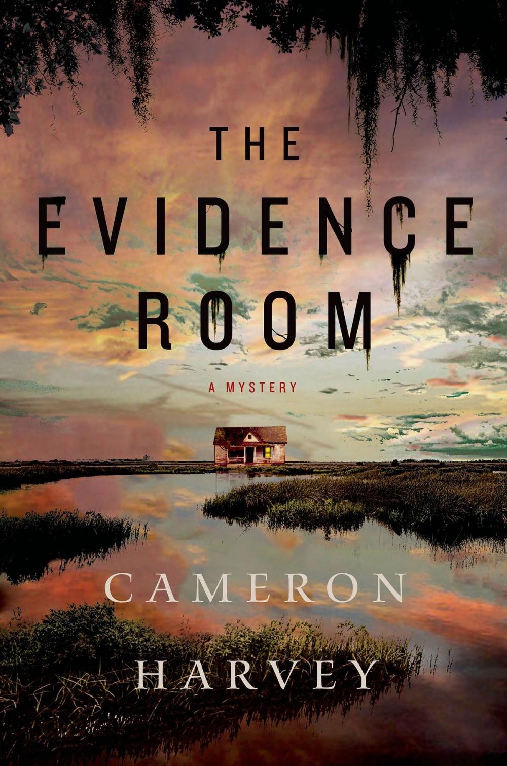 Big bigCover of The Evidence Room