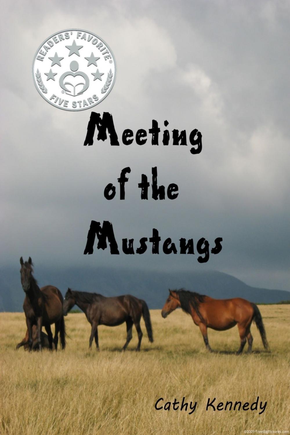 Big bigCover of Meeting of the Mustangs