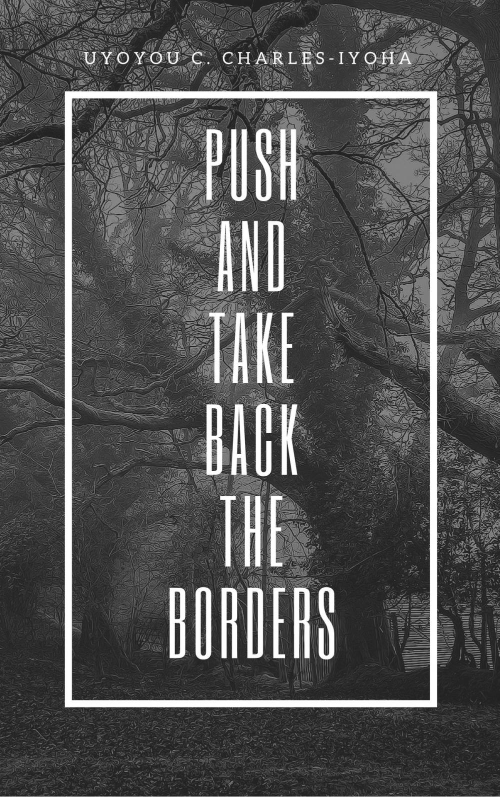 Big bigCover of Push and Take Back the Borders