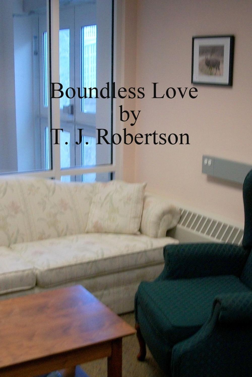 Big bigCover of Boundless Love