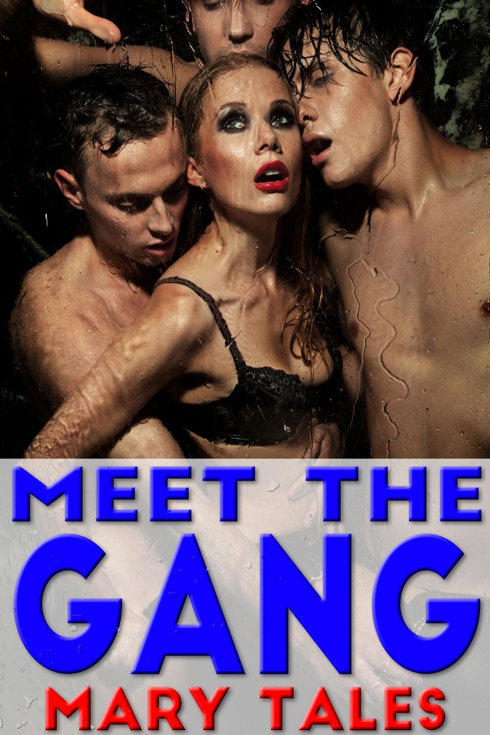 Big bigCover of Meet The Gang