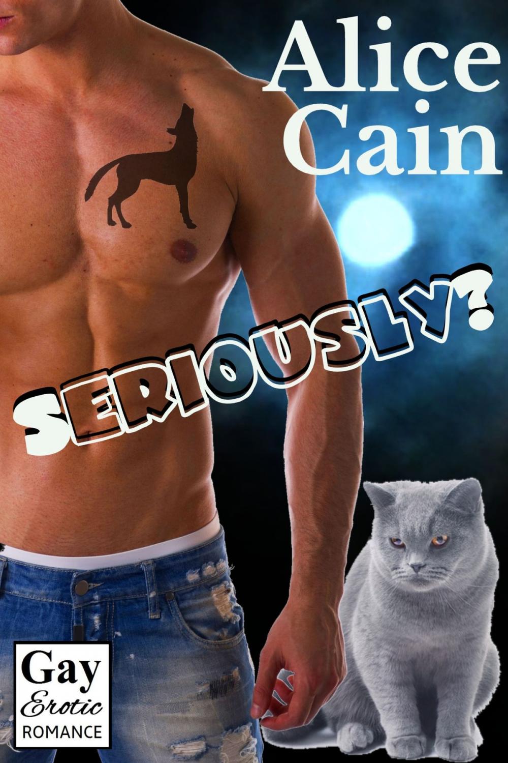 Big bigCover of Seriously? [Gay Erotic romance]