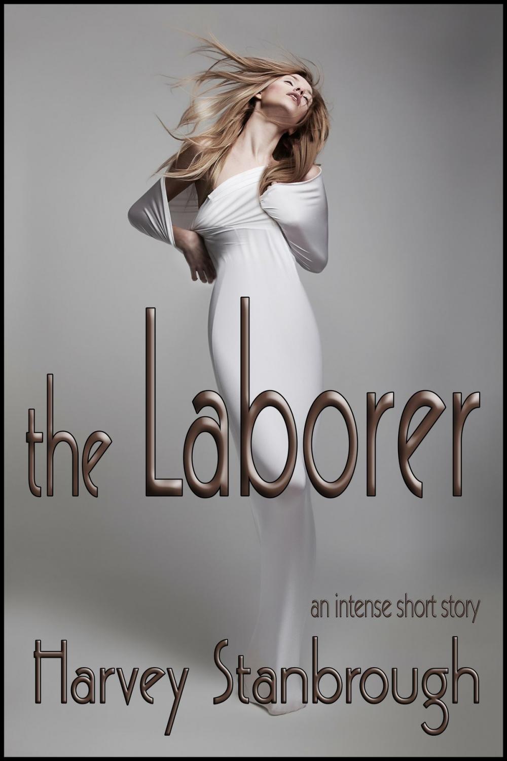 Big bigCover of The Laborer