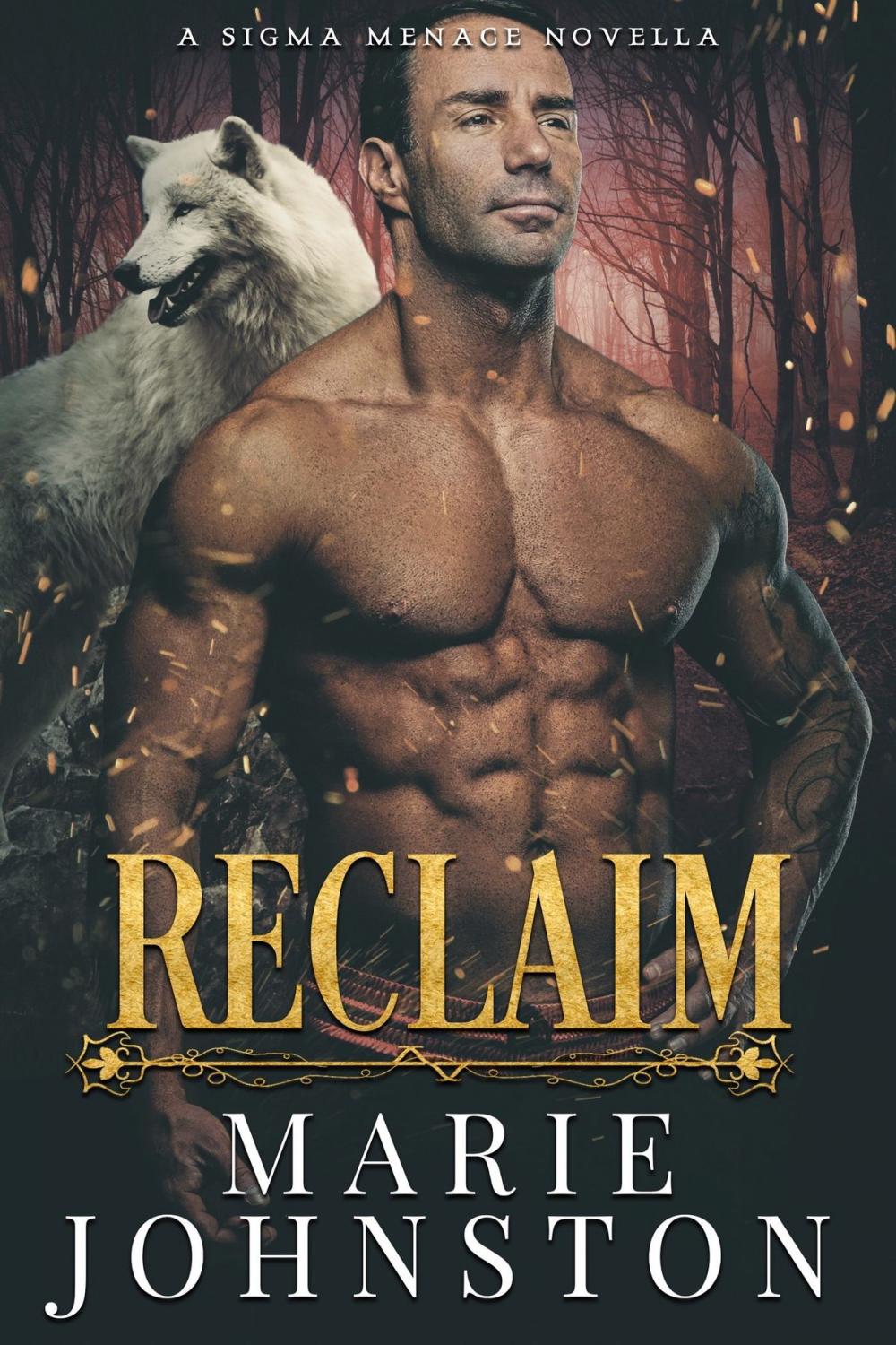 Big bigCover of Reclaim