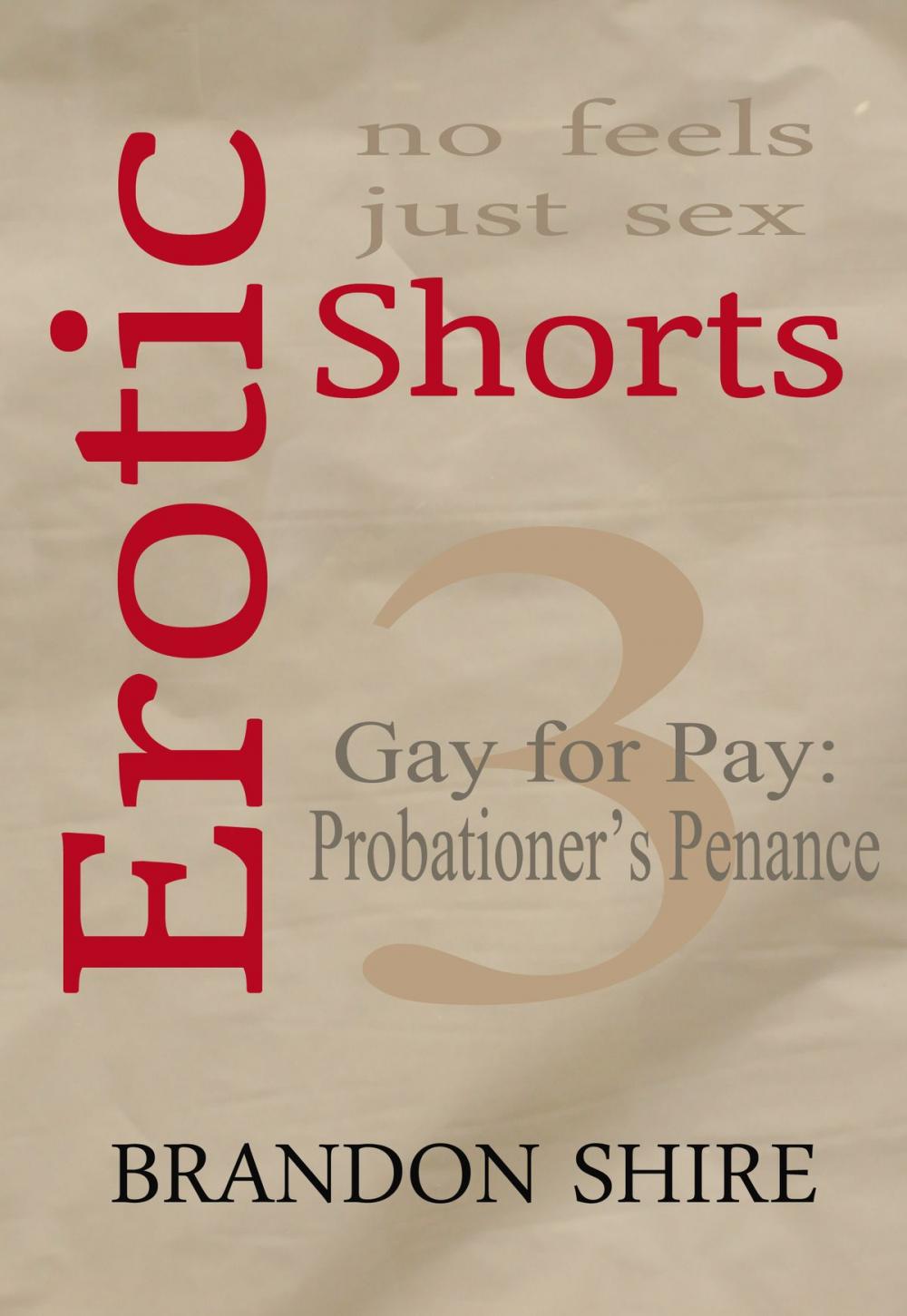 Big bigCover of Erotic Shorts: Gay for Pay - Probationer's Penance