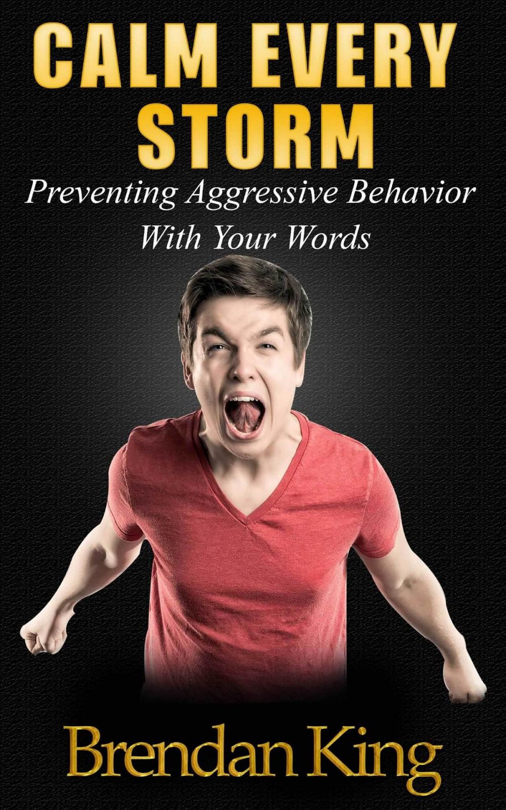 Big bigCover of Calm Every Storm: Preventing Aggressive Behavior With Your Words