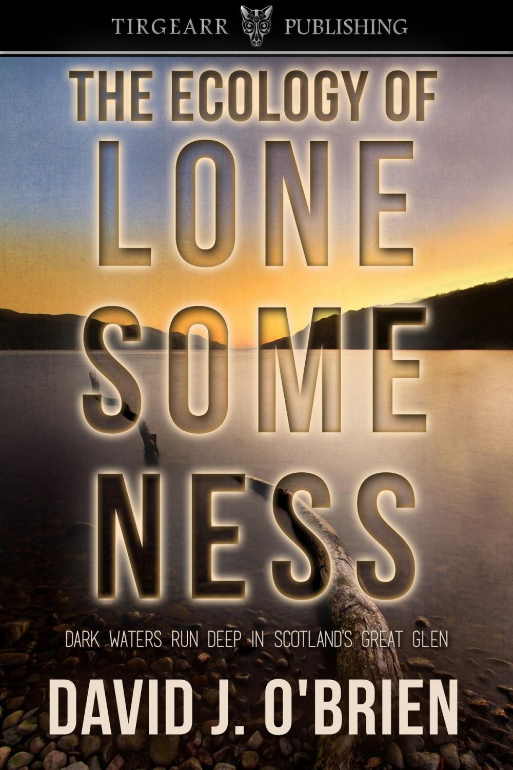 Big bigCover of The Ecology of Lonesomeness