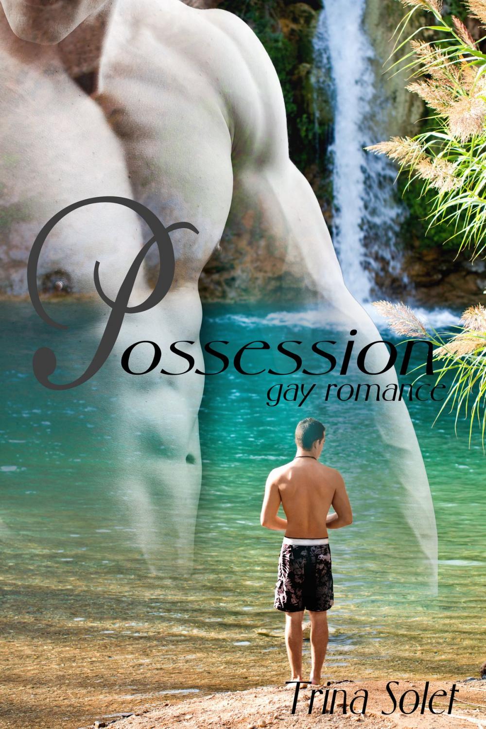 Big bigCover of Possession (Gay Romance)