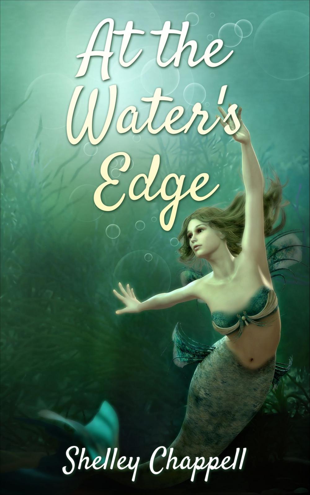 Big bigCover of At the Water's Edge