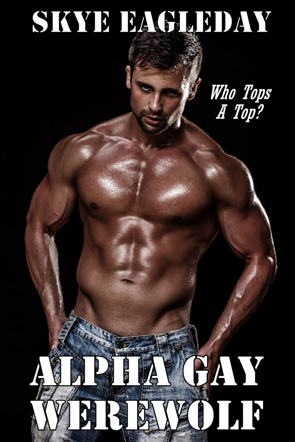 Big bigCover of Alpha Gay Werewolf: Who Tops A Top?