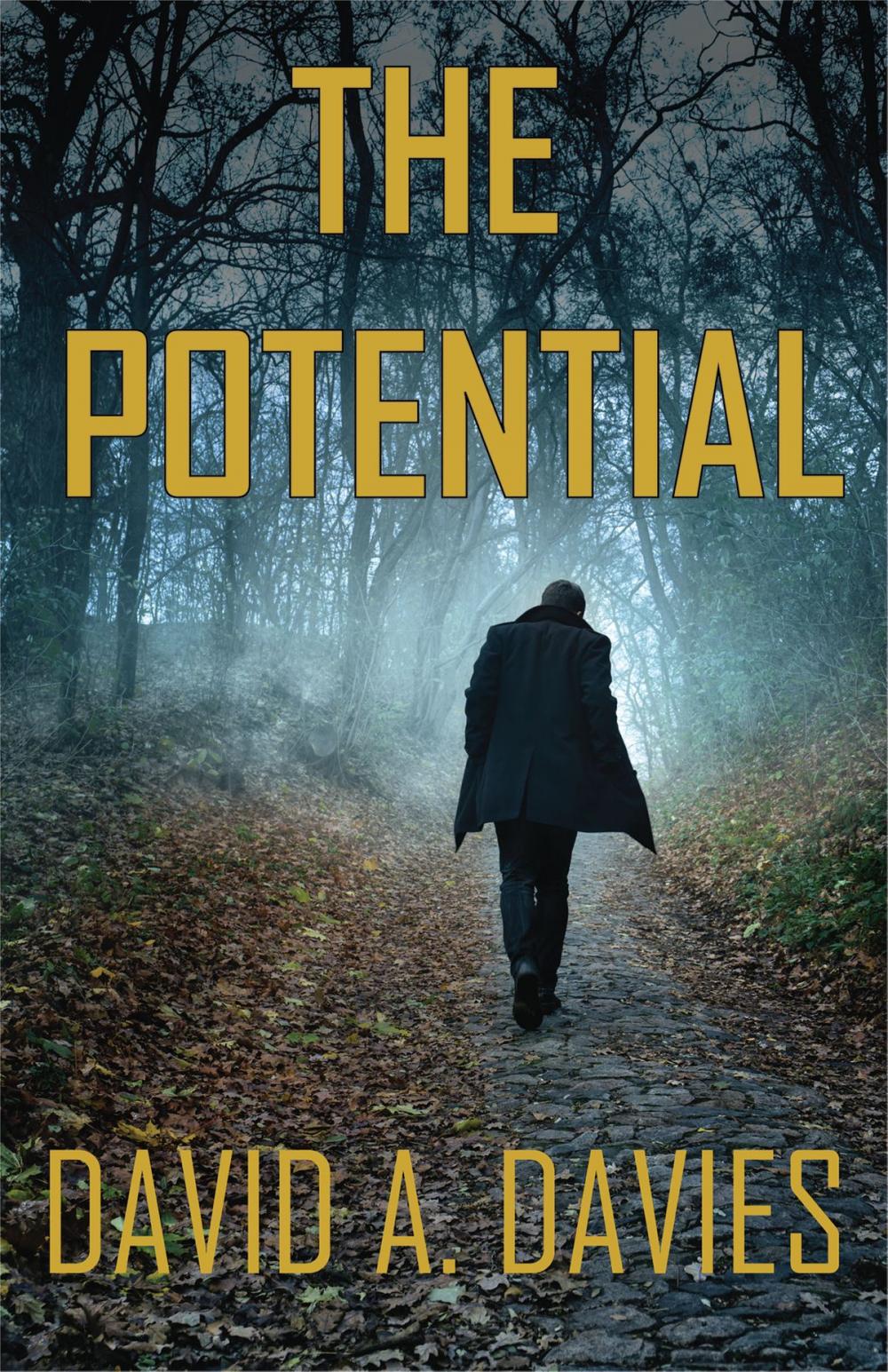 Big bigCover of The Potential