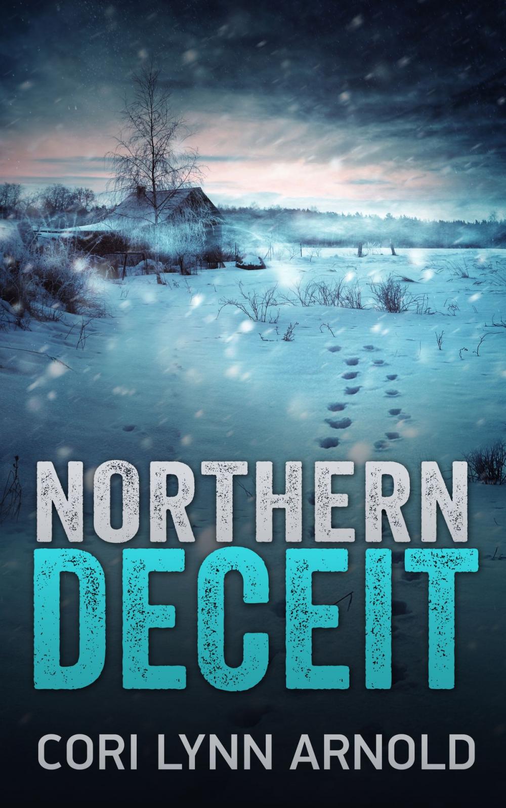 Big bigCover of Northern Deceit