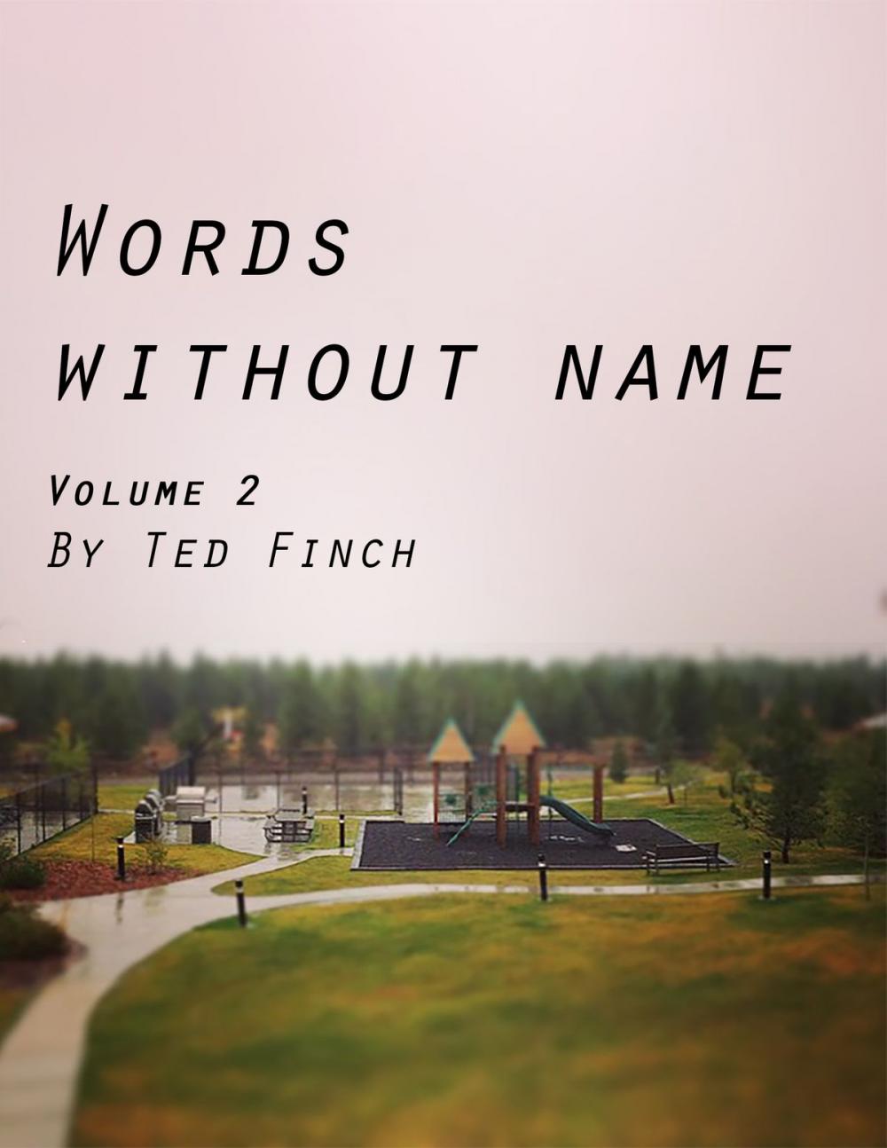 Big bigCover of Words Without Name Volume 2