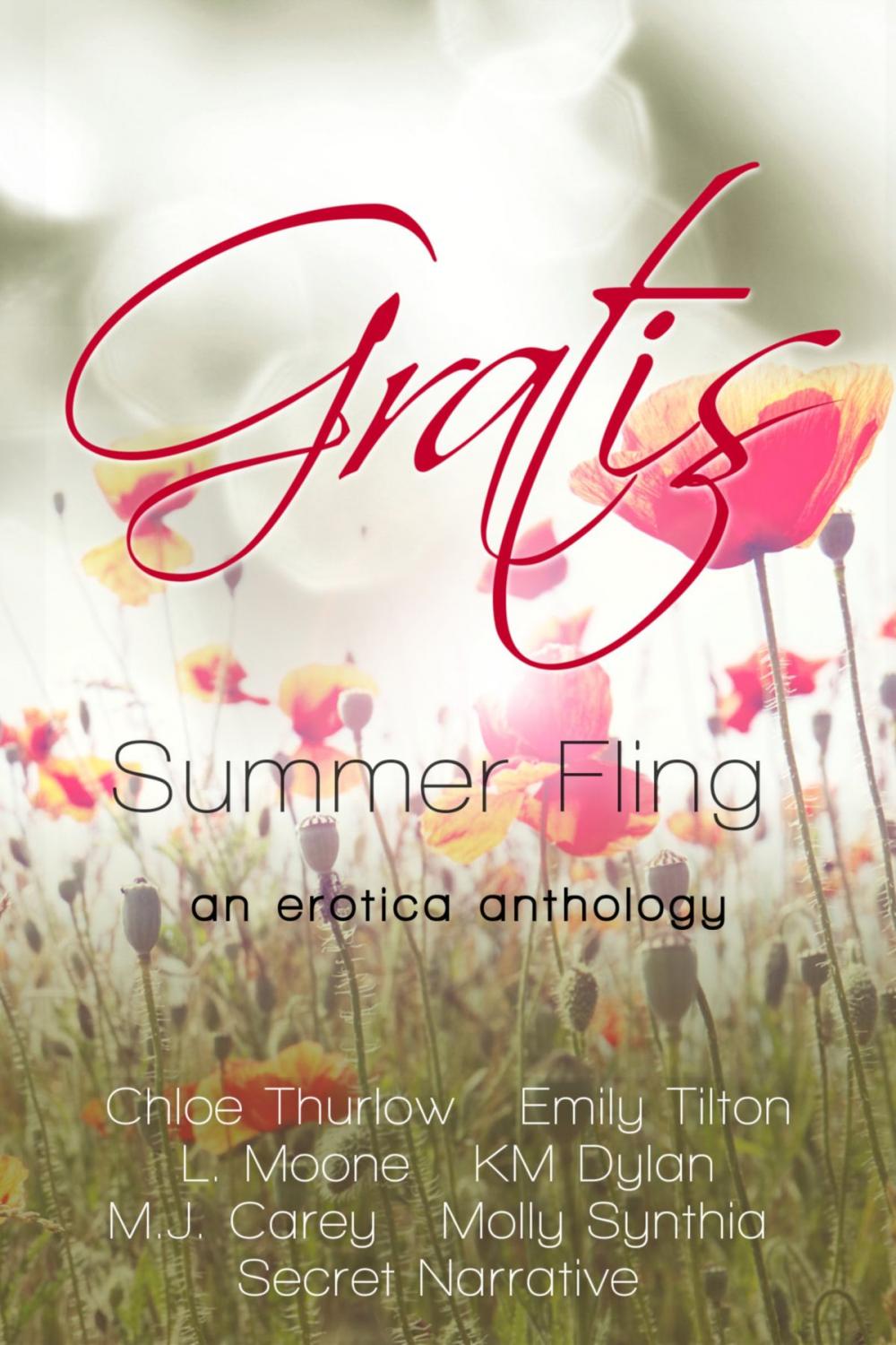 Big bigCover of Gratis : Summer Fling